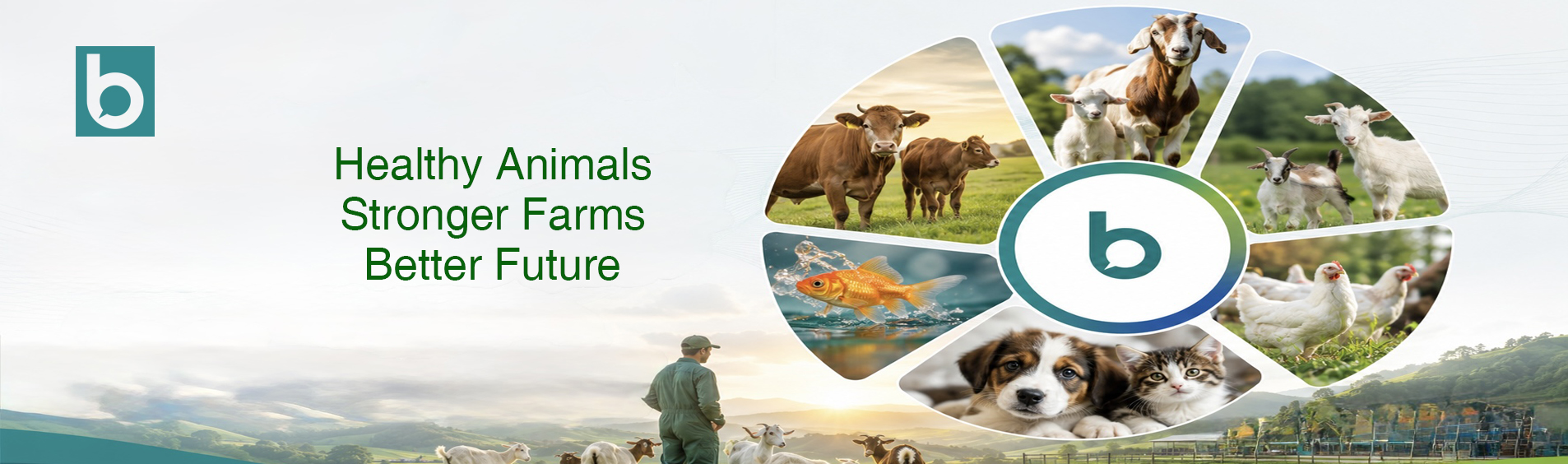 Animal health division